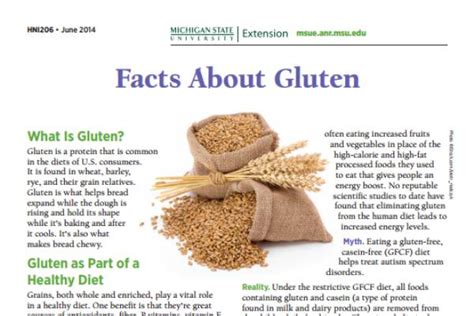 what does gluten look like.